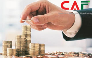 Định kỳ kế toán nộp những tờ khai nào cho thuế