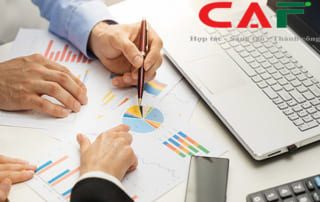 Chế độ trách nhiệm hữu hạn và vô hạn