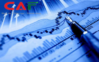 Công ty dịch vụ kế toán tại Tân Hưng Long An