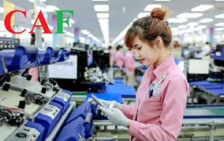 Công ty cho người lao động tạm ngừng lao động được tính lương thế nào