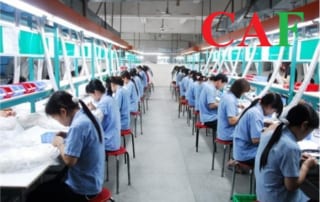 Mức hỗ trợ học nghề với NLĐ tham gia bảo hiểm