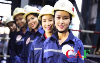 Cách hạch toán chi phí tiền lương và bảo hiểm