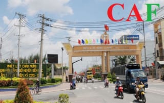 Dịch vụ thành lập công ty tại Bến Lức