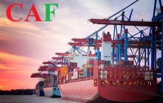 Trường hợp không thu thuế xuất nhập khẩu