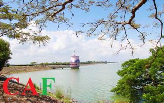 Công ty dịch vụ kiểm toán uy tín tại Bình Dương