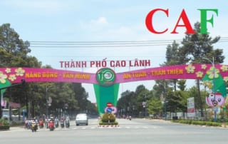 Bảng giá dịch vụ kế toán tại Đồng Tháp