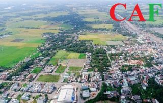 Công ty kiểm toán uy tín tại Đức Hòa Long An