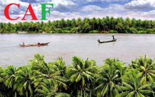 Những lưu ý khi chọn dịch vụ kế toán tại Bến Tre