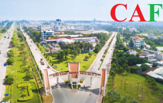 Kiểm toán độc lập tại Đồng Nai