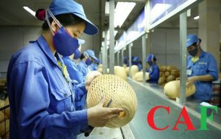 Quy định về đơn phương chấm dứt hợp đồng lao động