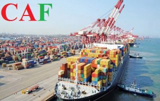 Một số trường hợp không thu thuế xuất nhập khẩu