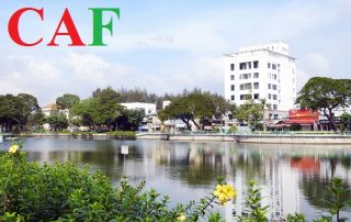 Chi phí thuê kiểm toán ở Bến Tre
