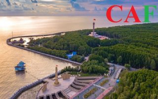 Dịch vụ kiểm toán ở Cà Mau uy tín