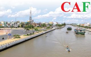 Thuê công ty kiểm toán ở Hậu Giang