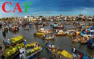 Bảng giá dịch vụ báo cáo thuế tại Tiền Giang