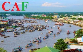 Công ty dịch vụ báo cáo thuế Tiền Giang