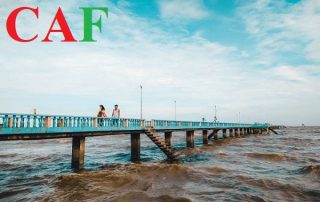 Dịch vụ báo cáo thuế tại Tiền Giang