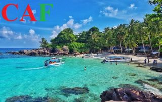Công ty kiểm toán độc lập tại Kiên Giang