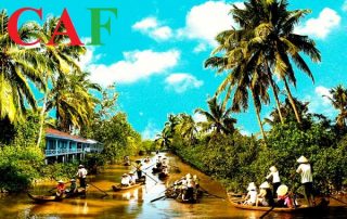 Kiểm toán báo cáo tài chính tại Vĩnh Long