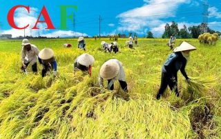 Những hàng hóa dịch vụ chịu thuế suất 5%