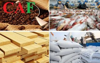 Những hàng hoá dịch vụ không chịu thuế gtgt