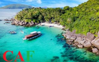 Kiểm toán báo cáo tài chính tại Kiên Giang