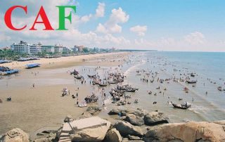 Kiểm toán báo cáo tài chính tại Thanh Hoá