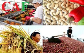 Những hàng hoá dịch vụ nào chịu thuế gtgt 0%