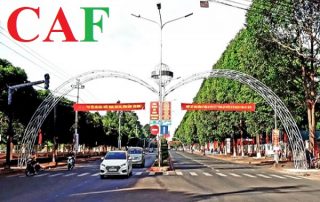 Dịch vụ thành lập công ty tại huyện Cư M'gar tỉnh Đăk Lăk