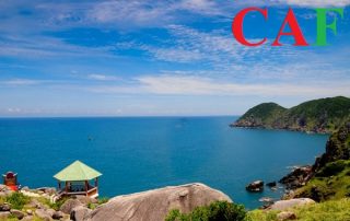 Công ty kiểm toán độc lập ở Phú Yên