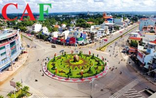 Dịch vụ kiểm toán bctc ở Bình Phước