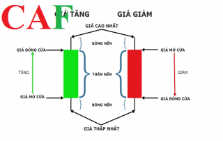 Những cuốn sách hay về mô hình nến nhật