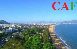 Phí dịch vụ kiểm toán ở Bình Định