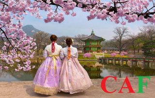 Hồ sơ xin visa Hàn Quốc cho sinh viên