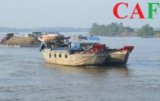 Công ty dịch vụ kiểm toán ở Cần Đước Long An