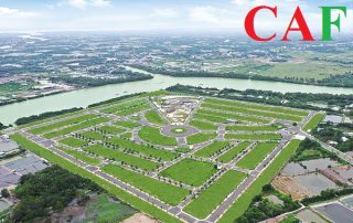 Công ty kiểm toán bctc ở huyện Cần Giuộc Long An