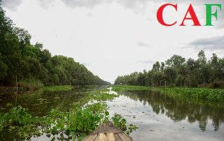 Công ty kiểm toán bctc ở Tân Hưng Long An
