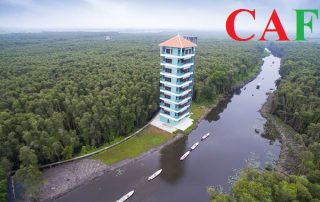 Dịch vụ kiểm toán bctc ở Mộc Hóa Long An