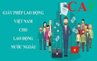 Dịch vụ làm giấy phép lao động cho người nước ngoài ở quận 4 TPHCM