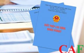 Dịch vụ làm giấy phép lao động cho người nước ngoài ở quận 5 TPHCM