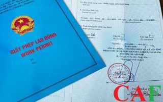 Dịch vụ làm giấy phép lao động cho người nước ngoài ở quận 6 TPHCM