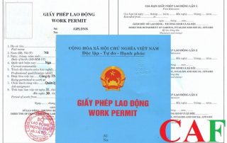 Dịch vụ làm giấy phép lao động cho người nước ngoài ở TPHCM