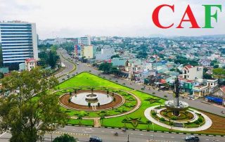 Kiểm toán báo cáo tài chính ở Gia Lai