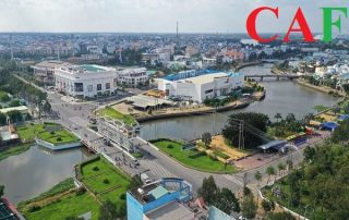 Kiểm toán bctc ở huyện Thủ Thừa Long An