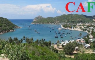 Kiểm toán bctc uy tín ở Ninh Thuận
