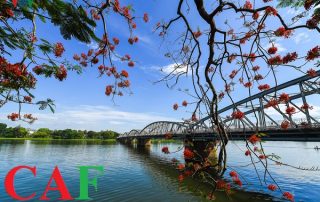 Kiểm toán độc lập uy tín ở Huế