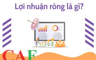 Lợi nhuận ròng là gì