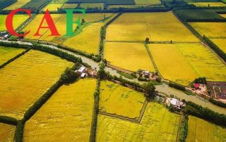 Mức nộp phí môn bài của hộ kinh doanh năm 2024