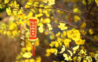 Nghỉ Tết có được hưởng lương không cập nhật mới nhất