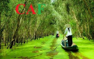 Dịch vụ kế toán tại thị xã Kiến Tường tỉnh Long An